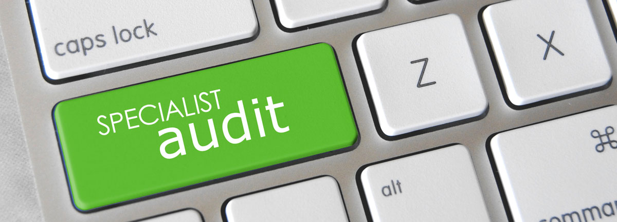 Specialist Audits Peterborough